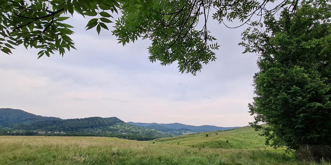 Casuta cu Bine Villa Valea Lunga-Ogrea Exterior foto