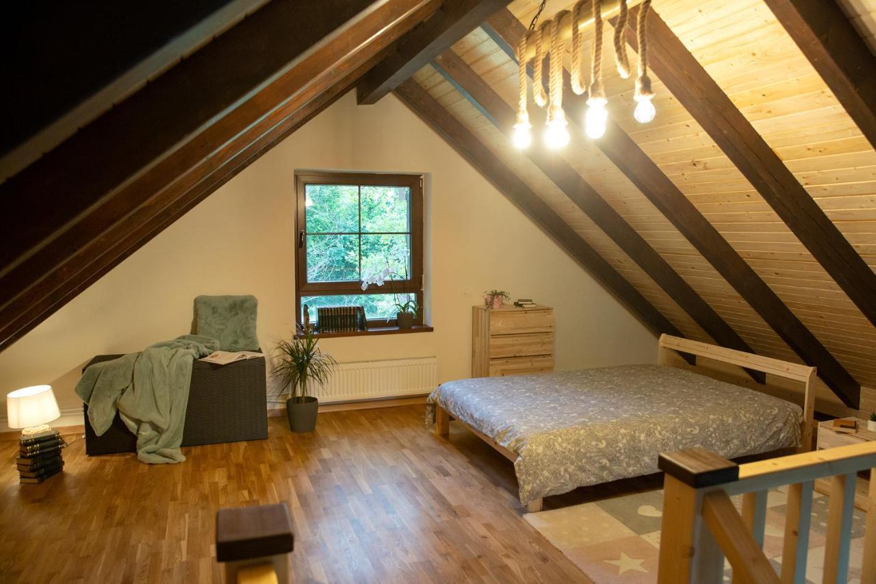 Casuta cu Bine Villa Valea Lunga-Ogrea Exterior foto