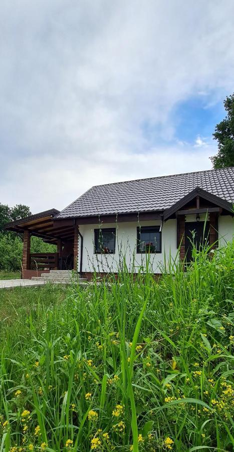 Casuta cu Bine Villa Valea Lunga-Ogrea Exterior foto